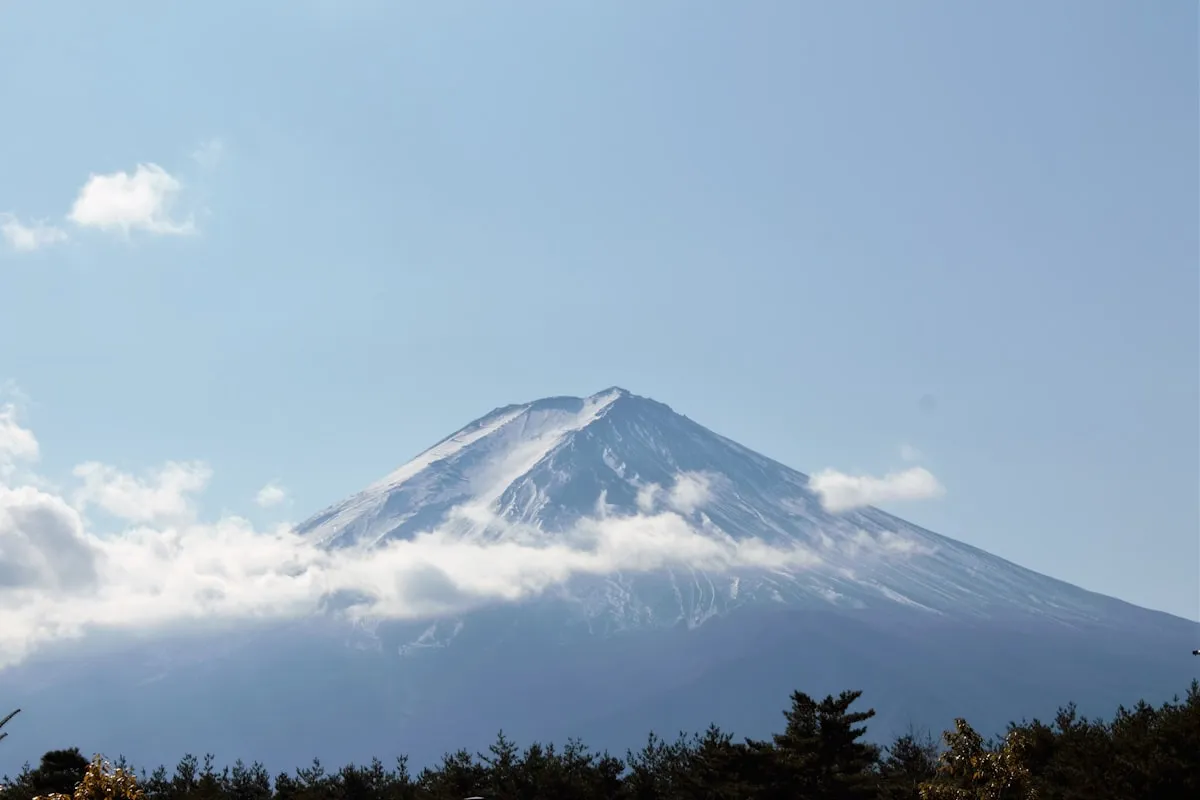 Full Island Discovery