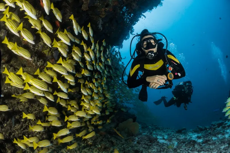 Guided Reef Snorkel
