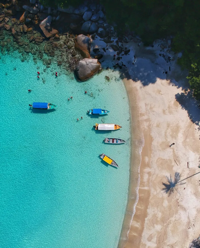 Island Fastboat Seat